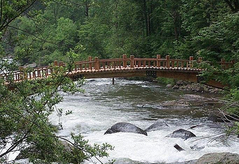 望天鹅旅游风景区第 18 张图片