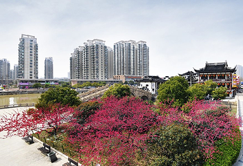 常州市南大街商贸休闲旅游区第 6 张图片