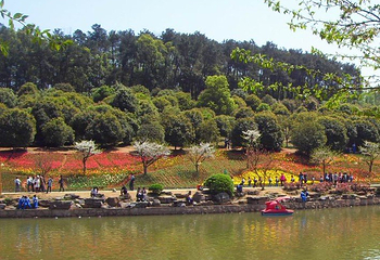 淮上明珠旅游区茨淮知青园第 1 张图片