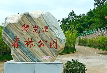 象山鲤龙潭森林公园第 1 张图片