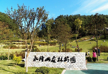 永隆山森林公园第 1 张图片