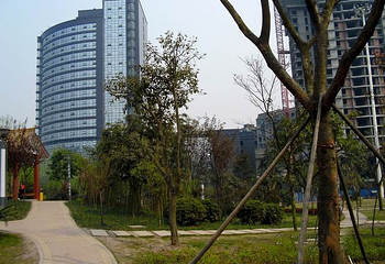 宕渠公园第 1 张图片