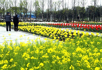 嘉兴植物园第 1 张图片