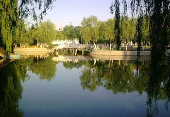 东丽公园第 1 张图片