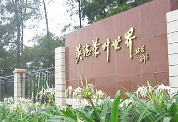 清远英德茶叶世界第 1 张图片