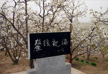 鳌头观海第 1 张图片