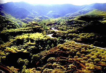 清徐白石沟生态旅游区第 1 张图片