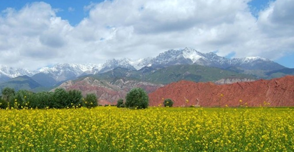 温宿大峡谷 区间车 直通车单程票成人票