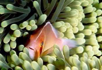 山海关海洋水族馆第 2 张图片