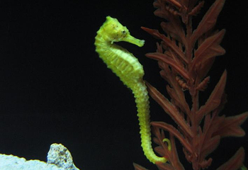 山海关海洋水族馆第 1 张图片
