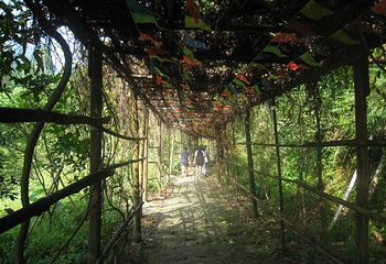 九道山生态旅游区第 41 张图片