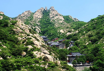 青岛茶山第 10 张图片