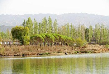 桃源旅游区第 8 张图片