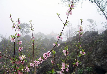 桃源旅游区第 9 张图片