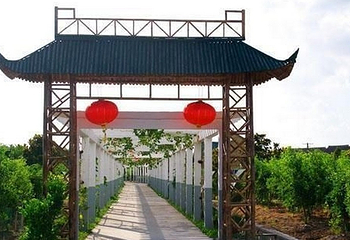 上海百枣园第 1 张图片