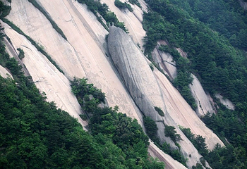 蜒蚰石第 1 张图片