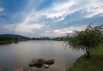 九龙湾乡村家园第 1 张图片