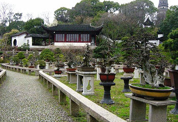 万景山庄第 1 张图片