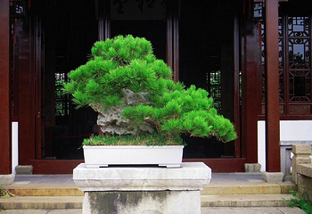 万景山庄第 3 张图片