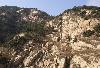 华山森林公园第 1 张图片