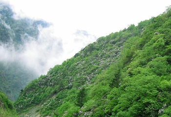 杜鹃山第 2 张图片