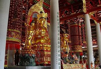 松林古寺第 1 张图片