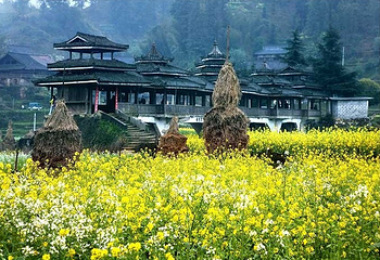 柳州大桥农业旅游区第 1 张图片
