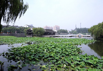 荷花池公园第 1 张图片