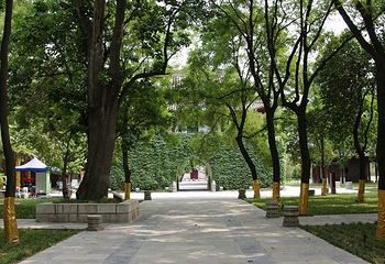 小雁塔遗址公园第 26 张图片