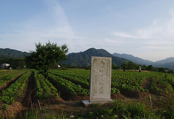 林节战国古文化遗址第 1 张图片