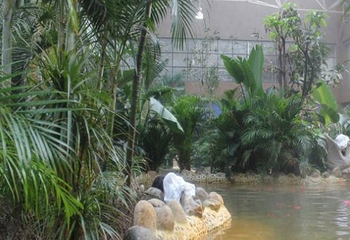 阿尔卡迪亚御临泉汤泉第 2 张图片