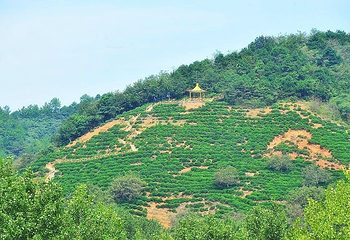 阳城驿景区第 18 张图片