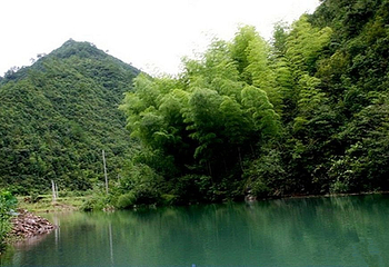 水竹湾森林公园第 6 张图片