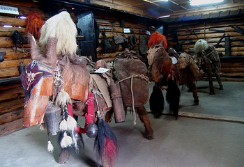 泸沽湖摩梭民俗博物馆第 3 张图片