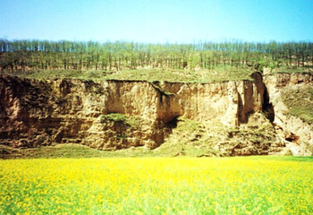 黄土地窑洞生态度假庄园第 1 张图片
