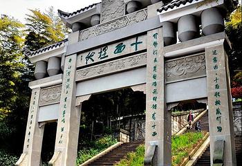 茶山竹海第 16 张图片