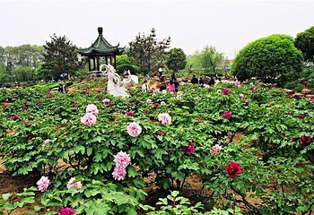 尚湖风景区第 32 张图片