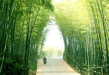 竹王城第 1 张图片