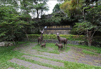 台湾知本森林游乐区第 1 张图片