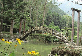 大学池第 1 张图片