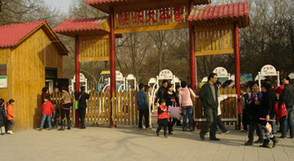 兴庆宫快乐大本营