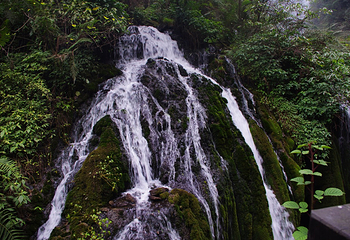 三峡人家第 24 张图片