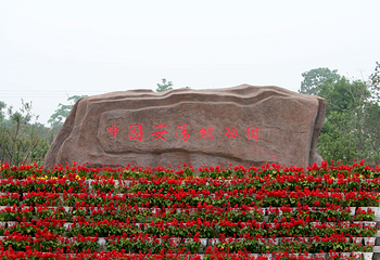 安阳腊梅园第 1 张图片
