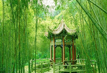 荆紫关法海寺第 2 张图片