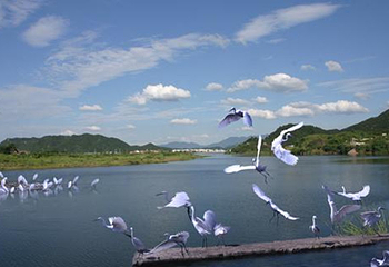 白鹭岛温泉公园第 1 张图片