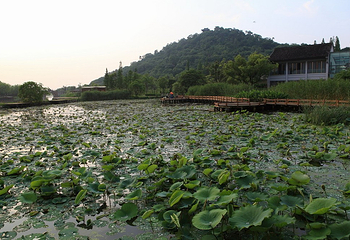 镜湖湿地公园第 4 张图片