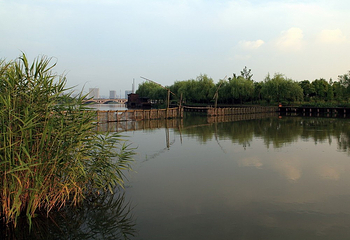 镜湖湿地公园第 5 张图片