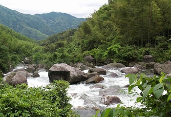 十里竹海大峡谷第 2 张图片