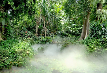 华南植物园温室群第 2 张图片