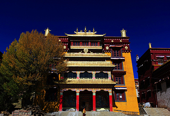 理塘长青春科尔寺第 3 张图片